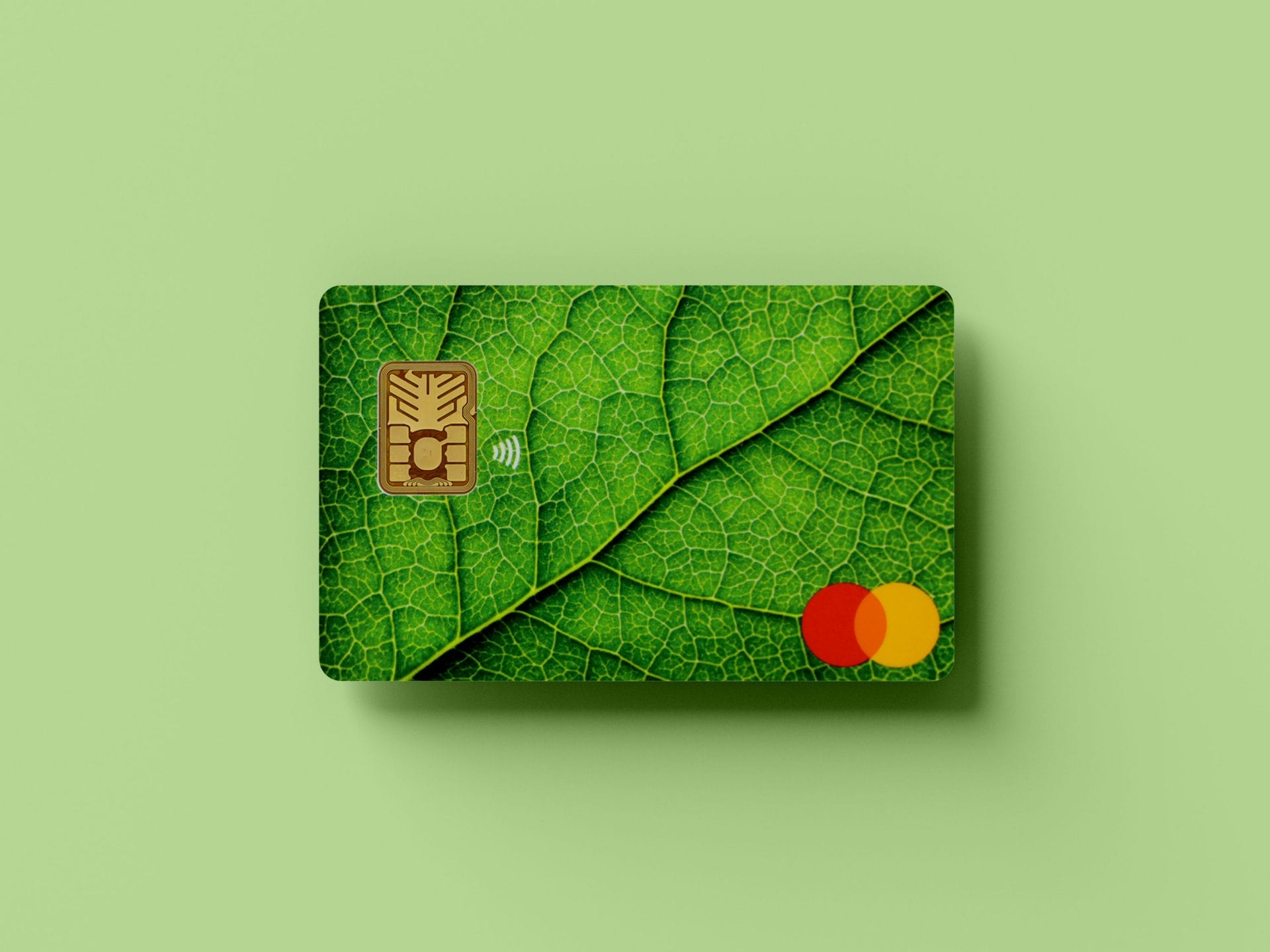 green chip card on light green background